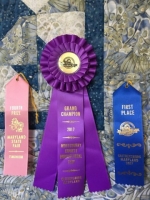 Ribbons-2-e1507673452330
